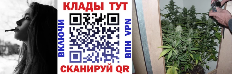 Виды наркотиков купить Малгобек Галлюциногенные грибы  Меф  A-PVP  ГАШ  Конопля 