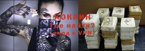 бошки Ладушкин