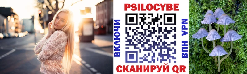 Псилоцибиновые грибы Cubensis где купить Малгобек